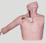 1_MO_HINH